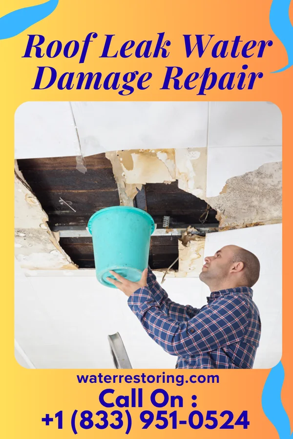 Roof Leak Water Damage Repair in Crystal Mountain, MI