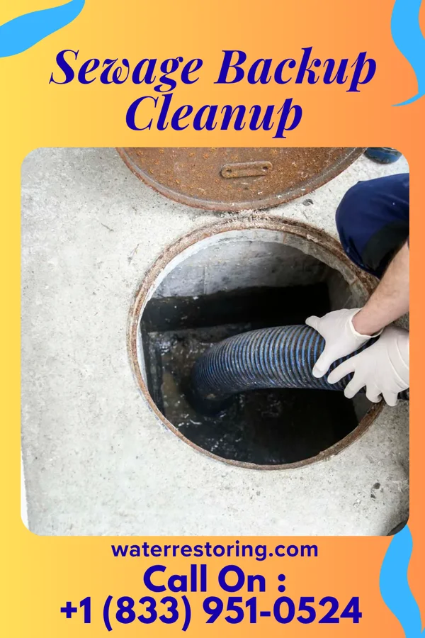 Sewage Backup Cleanup in Crystal Mountain, MI