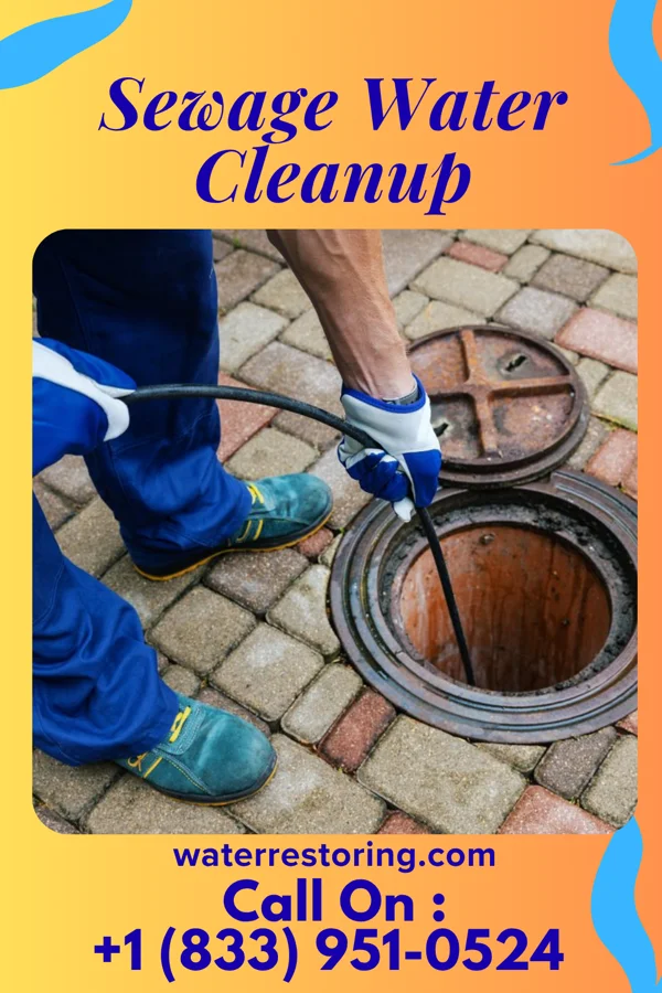 Sewage Water Cleanup in Crystal Mountain, MI