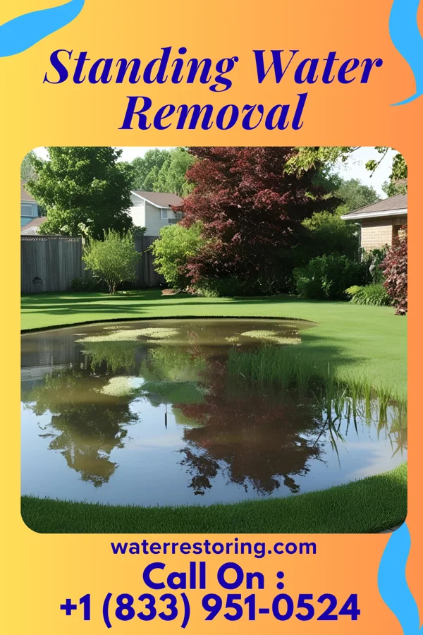 Standing Water Removal in Crystal Mountain, MI